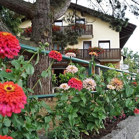 Hotel-Landgasthof Henghuber Roetz Экстерьер фото